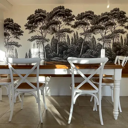 Le Petit Shamrock - Sur La *