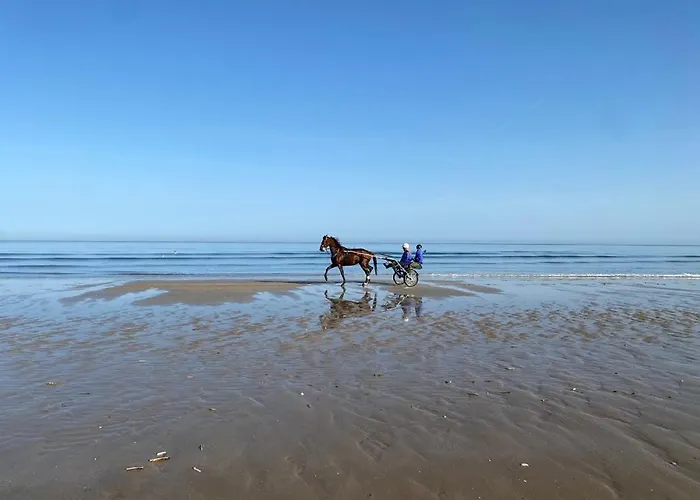 Le Petit Shamrock - Sur La Villa *